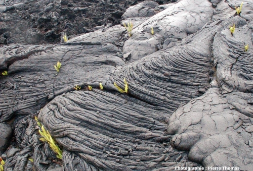 Fragment de lave cordée Basalte Hawaii Kilauea  