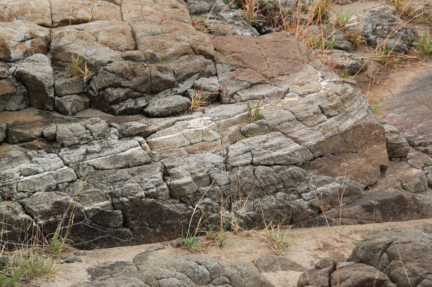 Anorthosite et chromite Anorthosite et chromite du complexe magmatique du Bushveld Bushveld Bushveld, zone critique, Merenski Reef  Maandagshoek