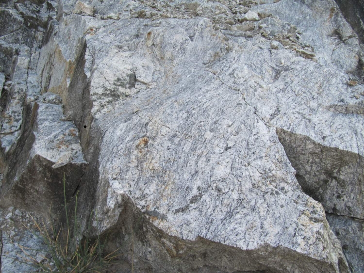 Migmatite Migmatite du Velay Massif central   