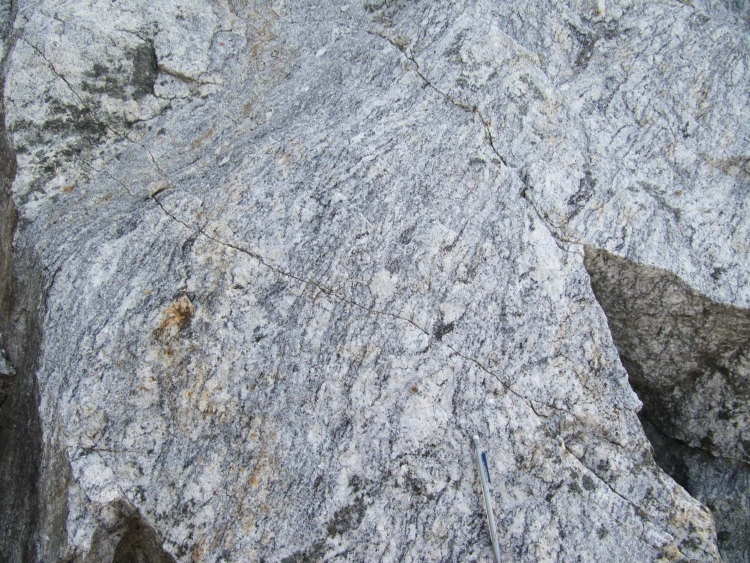 Migmatite Migmatite du Velay Massif central   