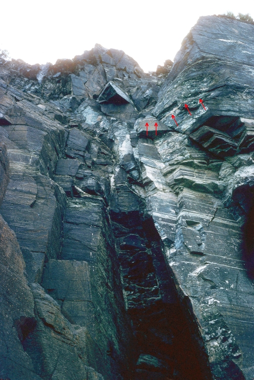 Pyroxénite à grenat Niveau de pyroxénite à grenat dans une péridotite Rif Massif de Beni Bousera  