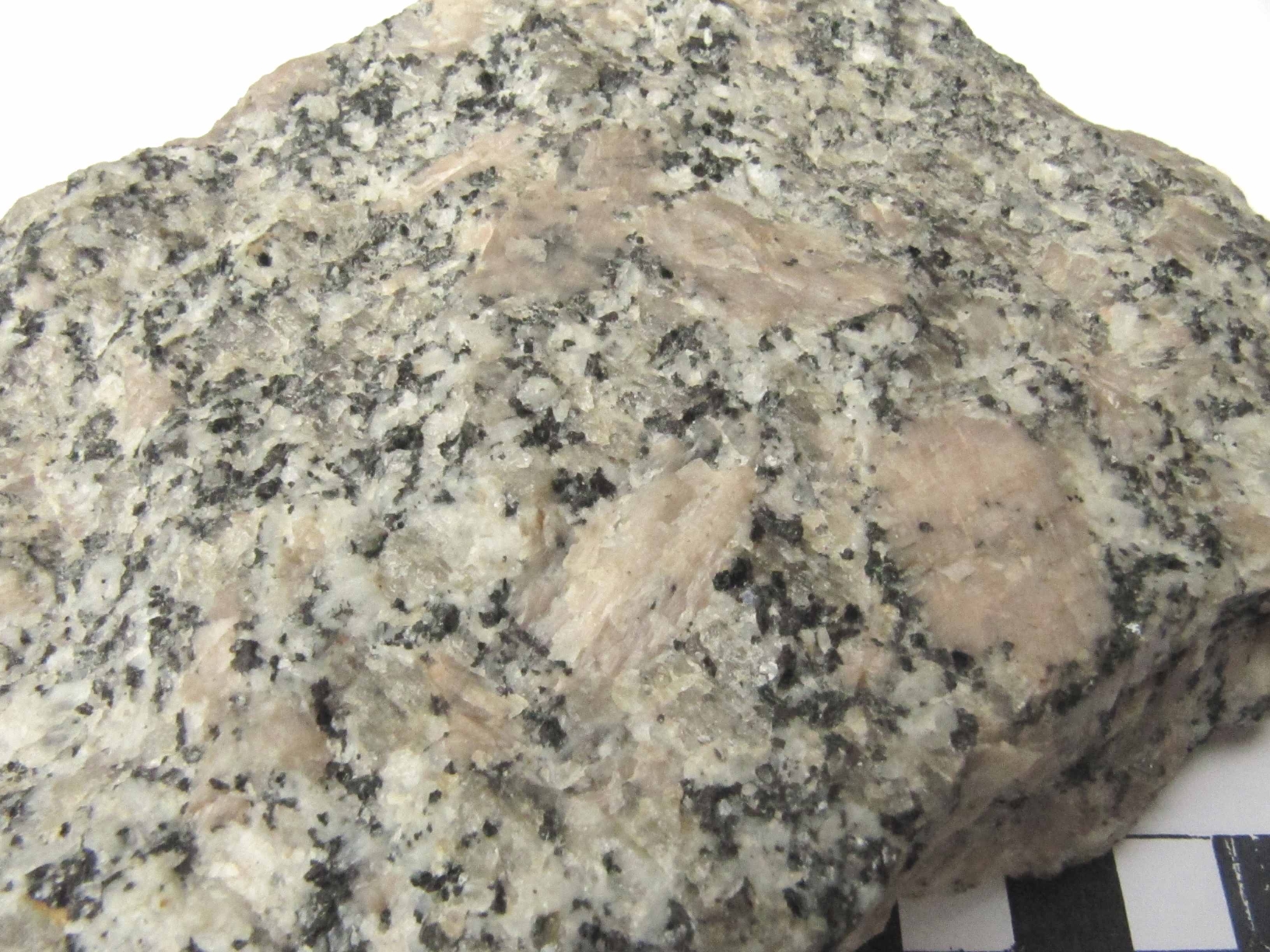 Granite porphyroïde rose Granite de l’Aber-Ildut Massif armoricain  Lanidult Proximité de Kerzéven