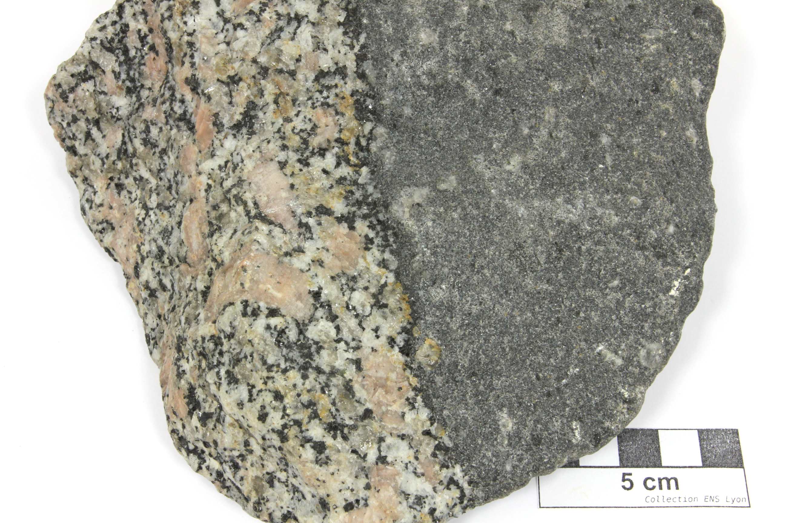 Granite porphyroïde à enclave basique microgrenue