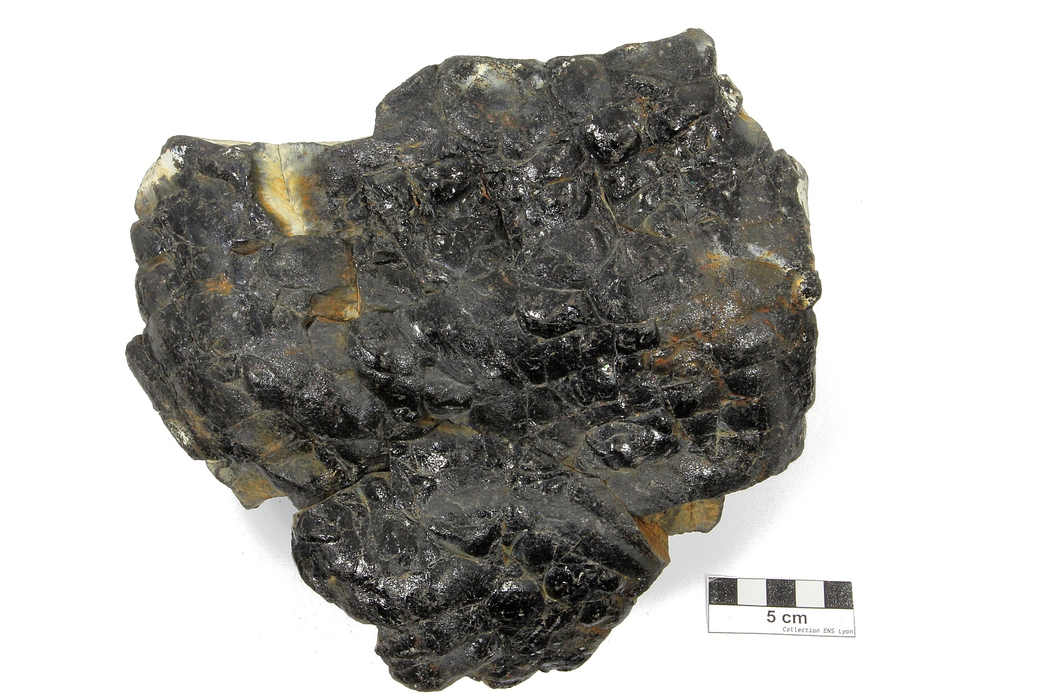 Basalte de dorsale océanique (Morb)
