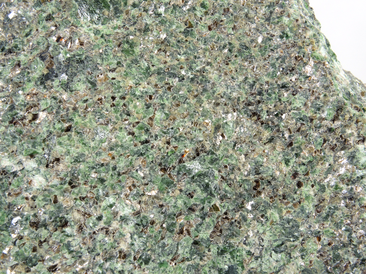 Lherzolite à phlogopite Péridotite de Finero Alpes Massif péridotitique de Finero  