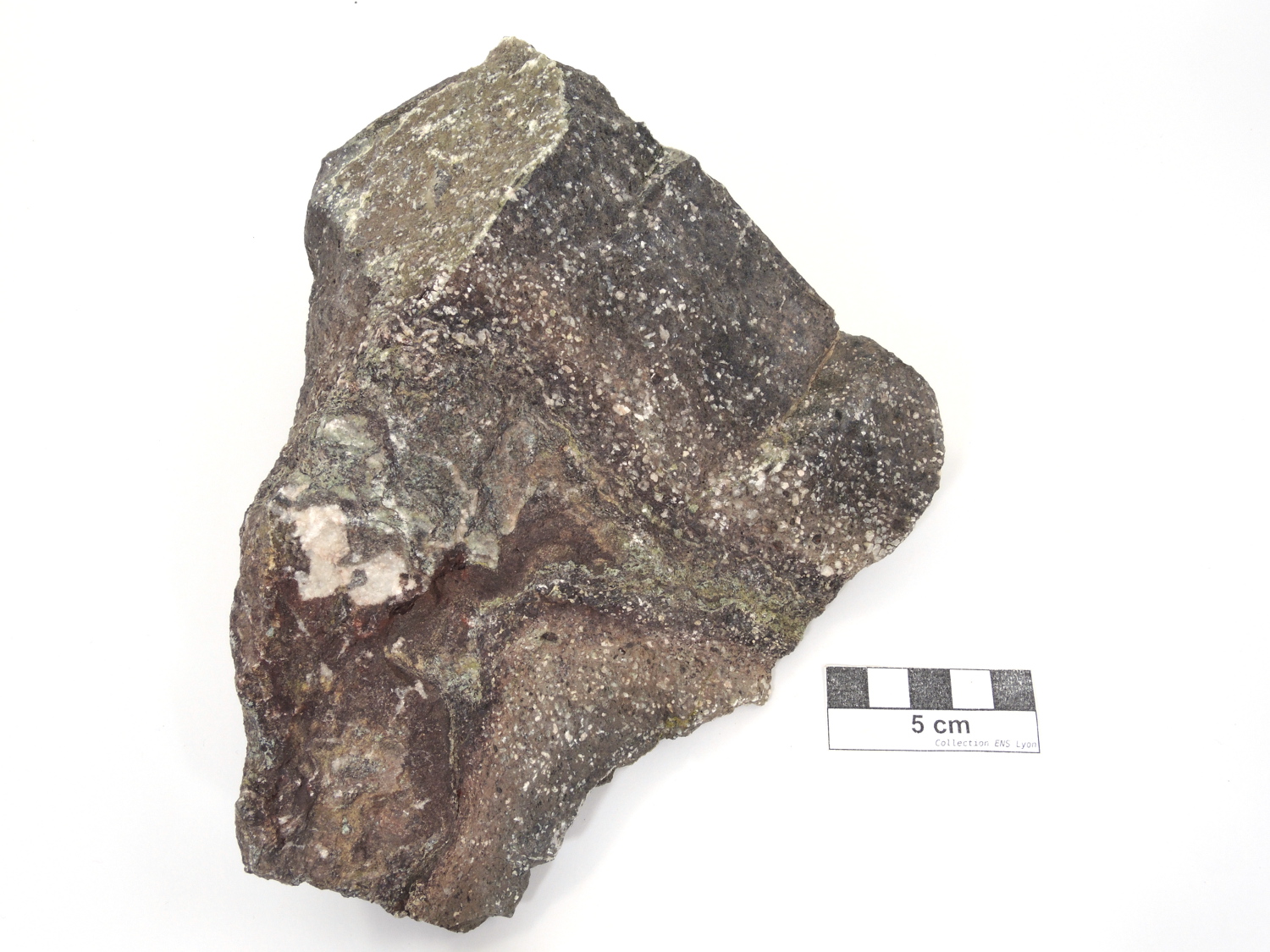 Pillow lava métasomatisé