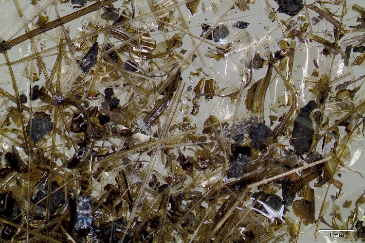 Cheveux de Pelé et algues de Pelé Filaments et écailles de verre basaltique Hawaii Kilauea  