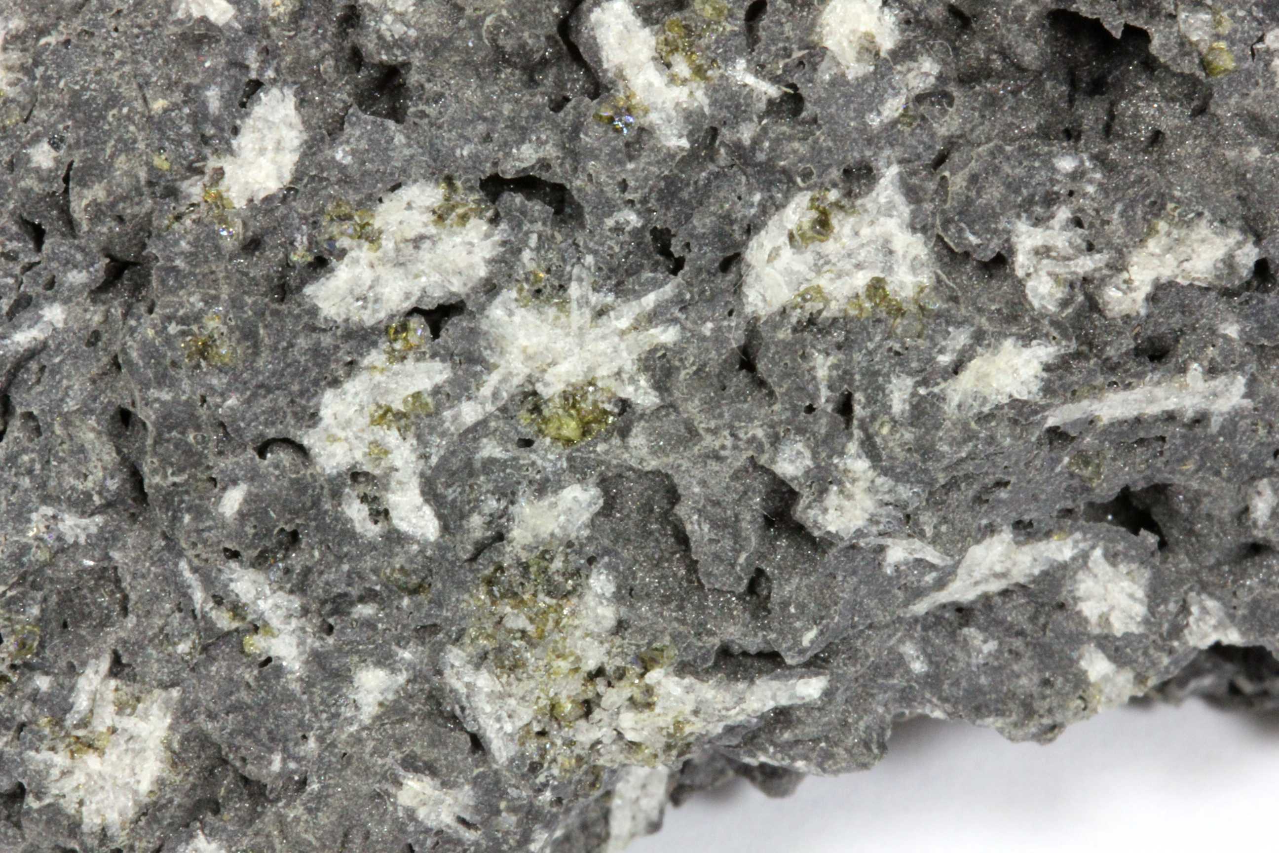 Basalte Basalte à plagioclase et olivine Iles Galapagos   