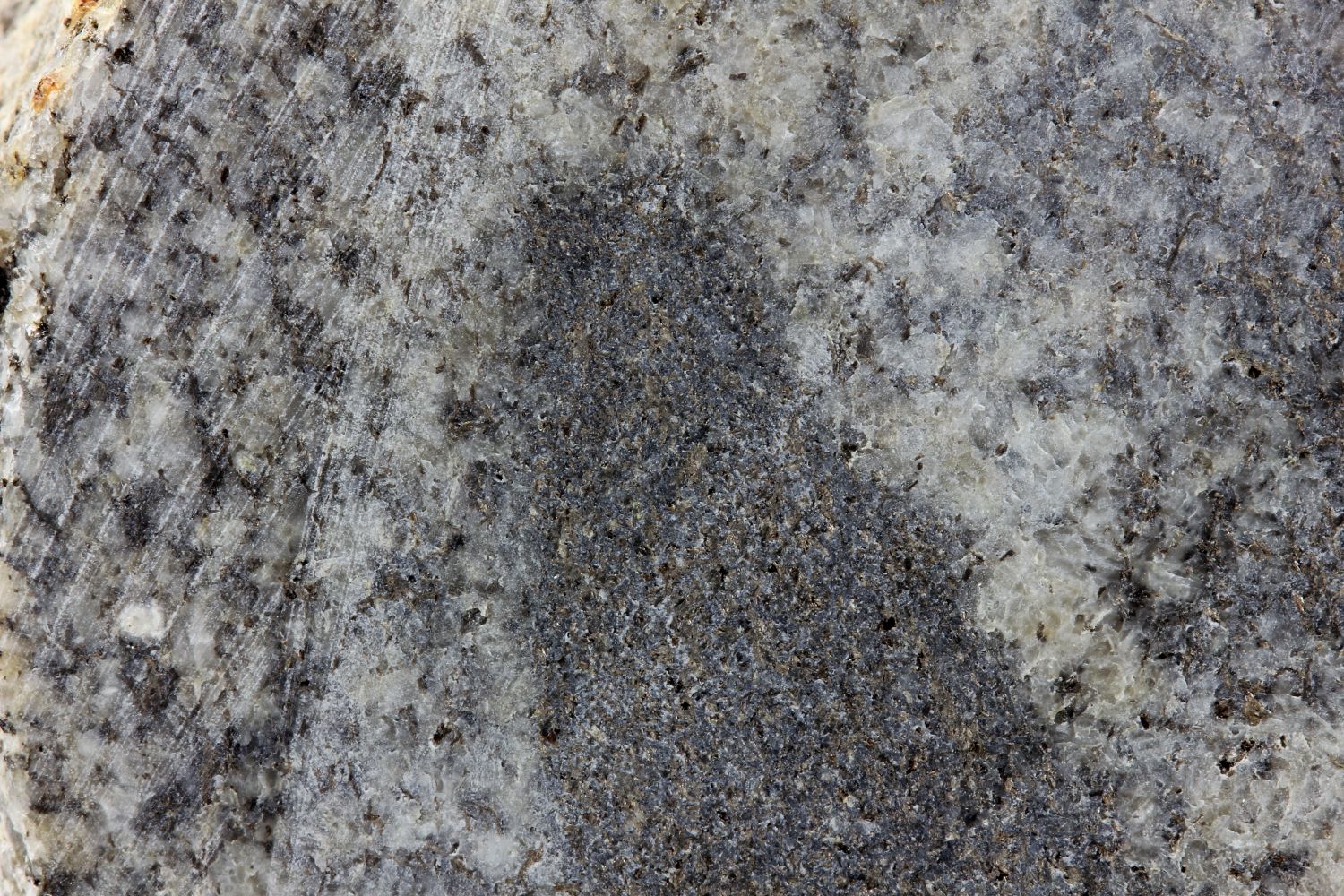 Granite à enclaves sur-micacées Granite de Grand-Chemin Massif central Monts du Lyonnais Montagny 