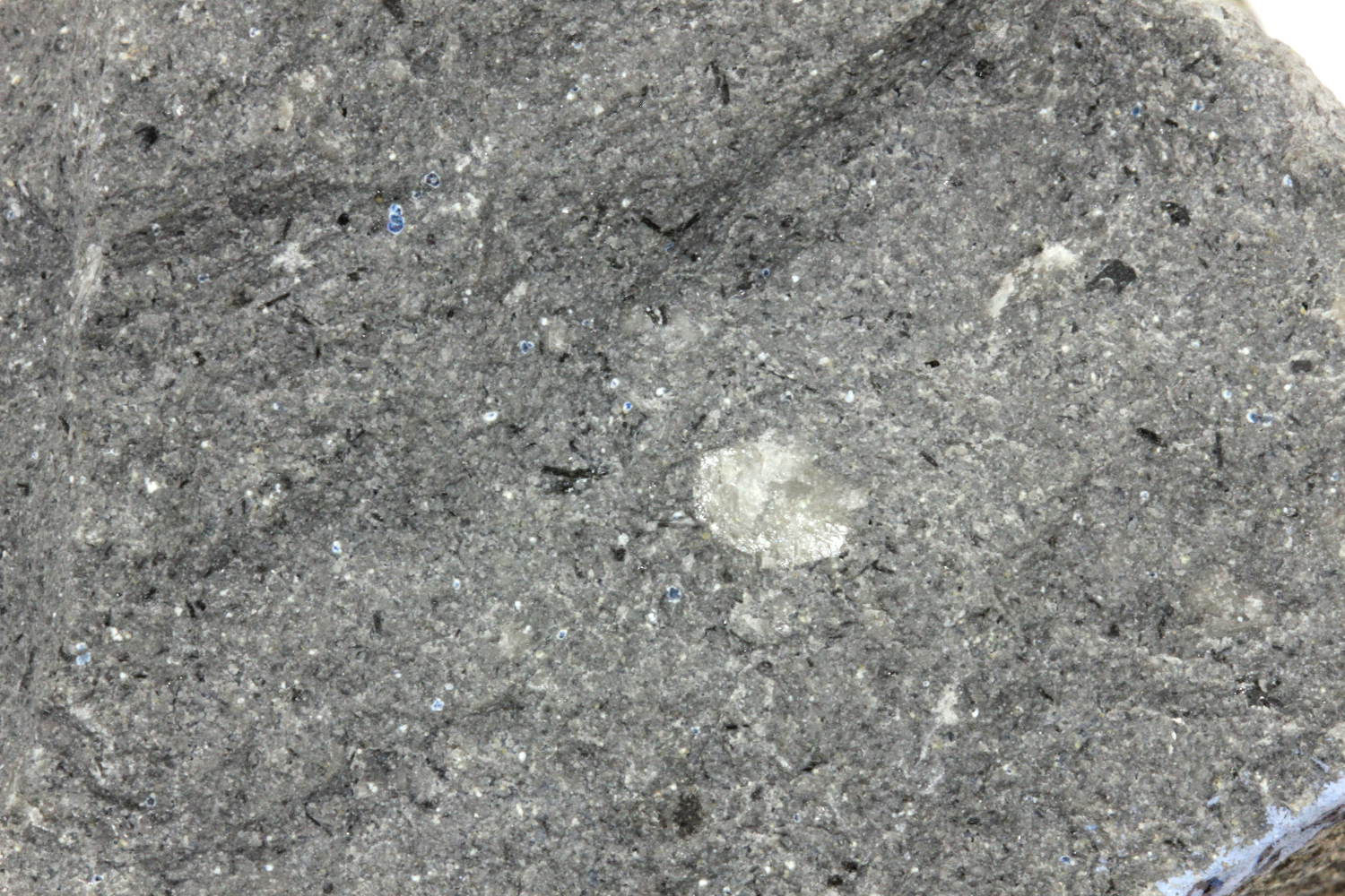 Téphrite à haüyne Ordanchite Massif central Mont Dore Perpezat Proximité de La Plane