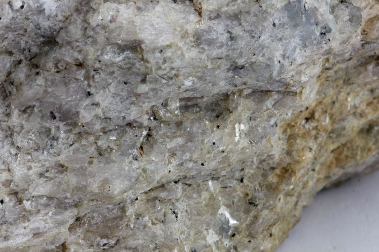Énorme grenat dans une méta-quartzite Pyrope de Dora Maira Alpes Province de Coni Martiniana Po 