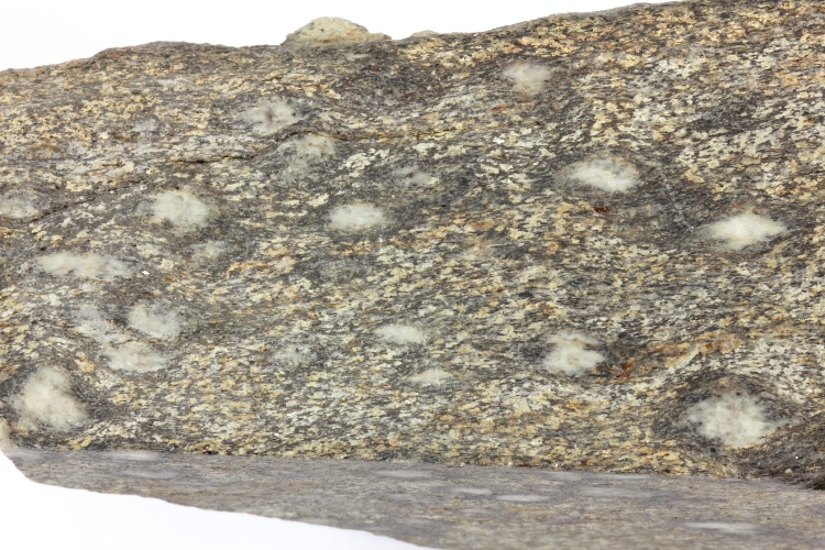 Gneiss à biotite et sillimanite Gneiss à fibrolites Massif central Haut Allier  