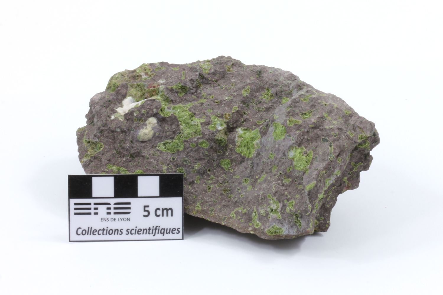Épidote, céladonite et zéolite dans une méta-dolérite