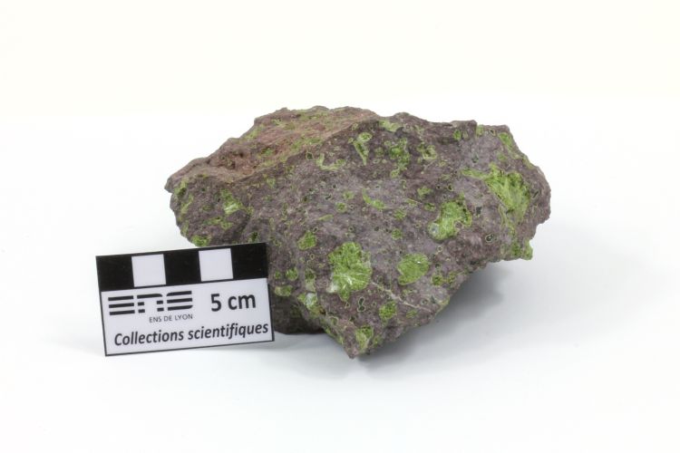 Épidote, céladonite et zéolite dans une méta-dolérite Dolérite hydrothermalisée    
