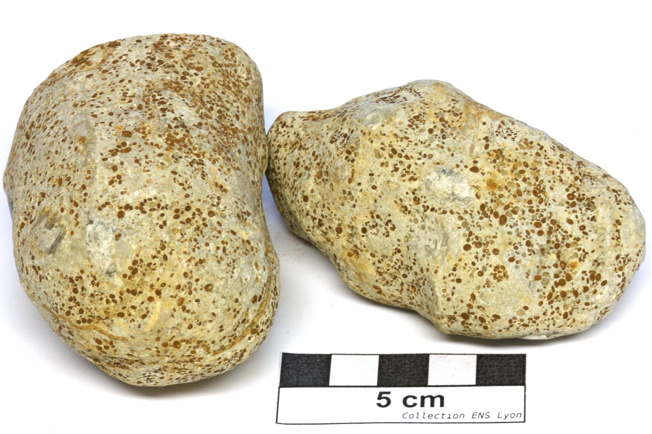 Calcaire oolithique Oolithes ferrugineuses de Bayeux   Sainte Honorine des pertes Plage de Sainte Honorine