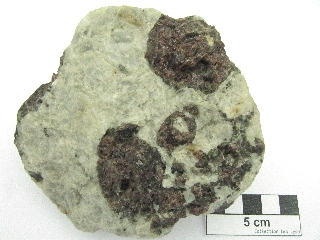 Grenat Grenats dans un méta-granite    