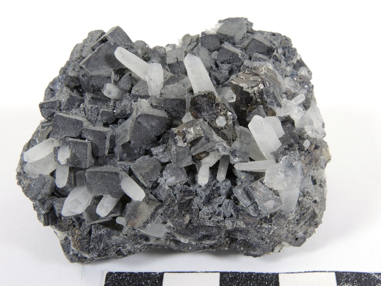 Galène, blende et quartz Galène, blende et quartz Les Rhodopes  Madan Septemvri mine