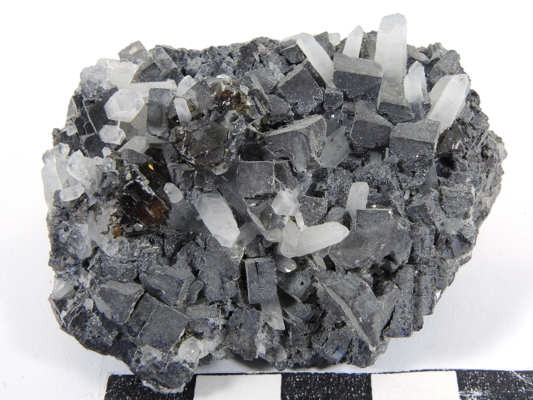 Galène, blende et quartz Galène, blende et quartz Les Rhodopes  Madan Septemvri mine