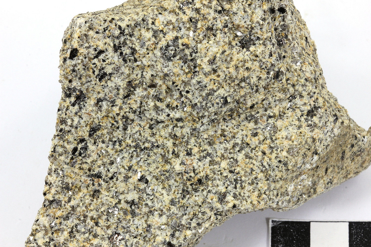 Granite fin à deux micas Leucogranite de Chateauponsac Massif central   Le Chézeau