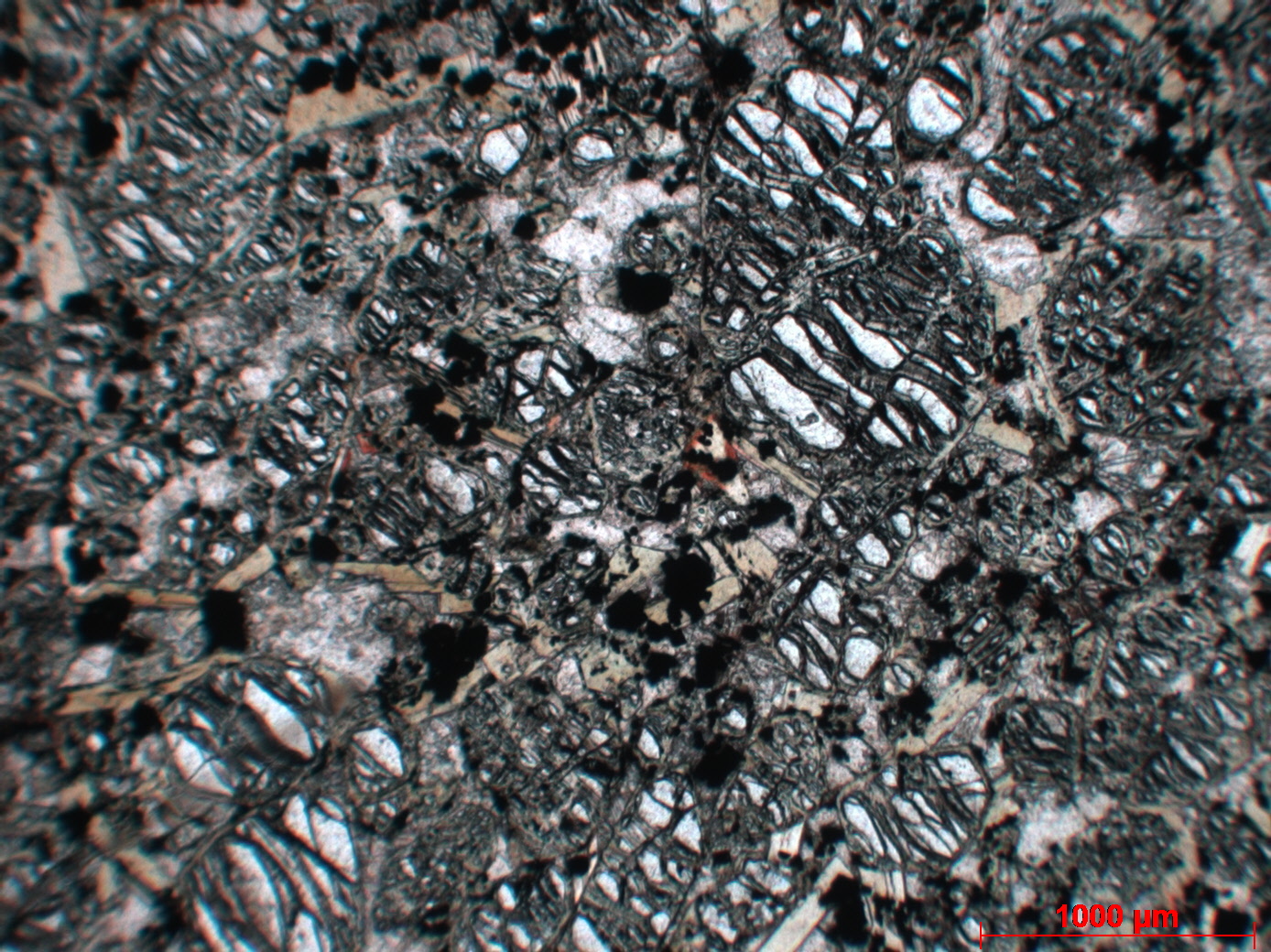 Kimberlite kimberlite de Sarfartoq Sarfartoq region  Kangerlussuaq 