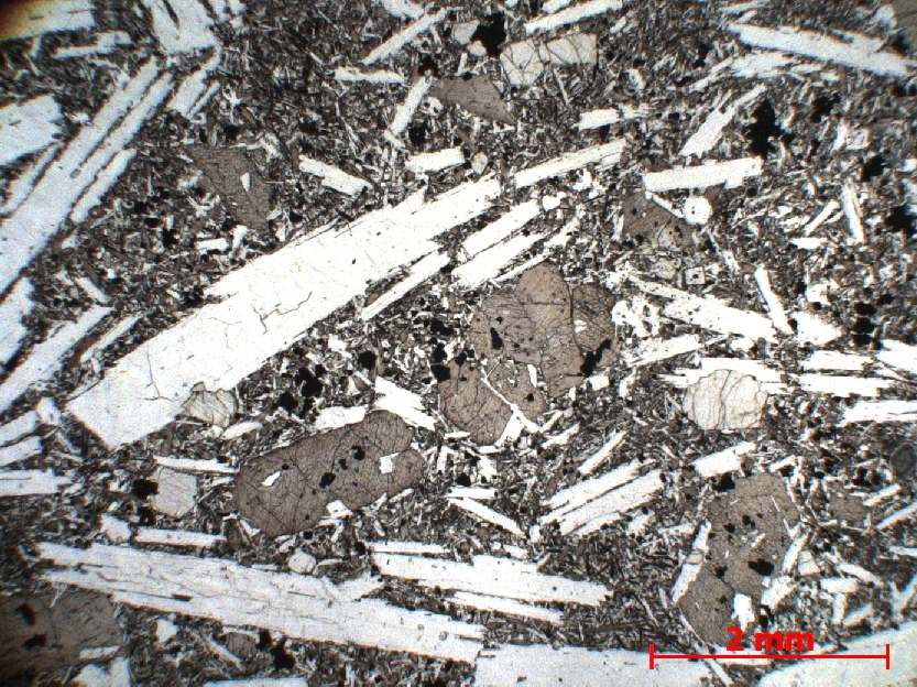  Microscope Basalte Basalte demi-deuil  Mont Dore Murat-le-Quaire La Banne d’Ordanche