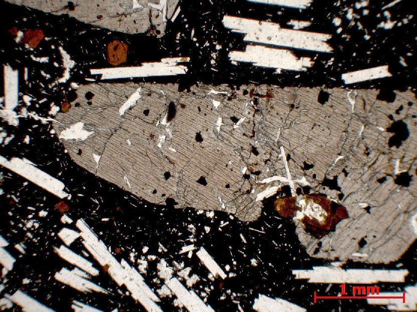  Microscope Basalte demi-deuil Basalte demi-deuil de Saignes Massif central  Saignes Puy de Saignes