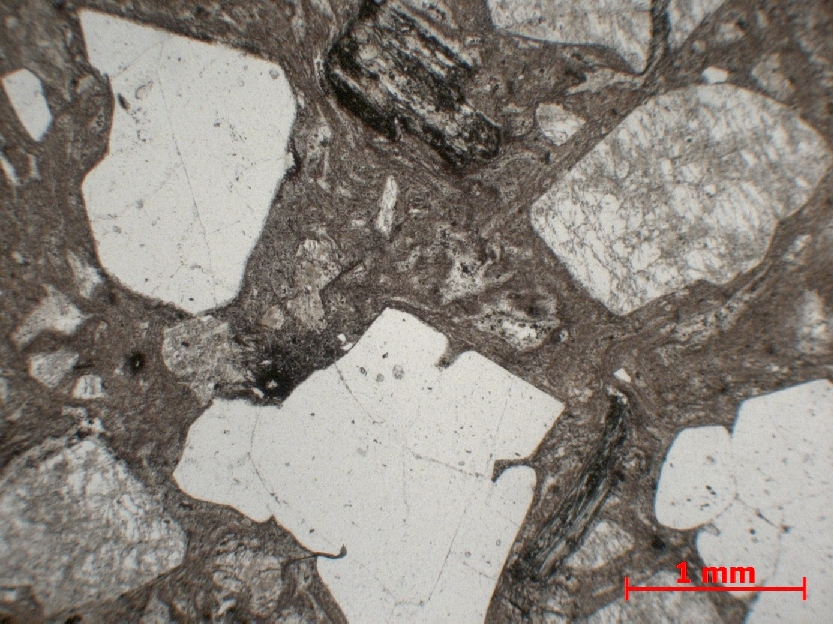  Microscope Rhyolite Rhyolite rouge Massif central  Montreuillon 