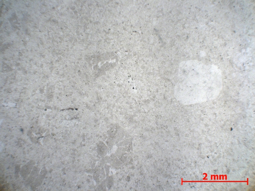  Microscope Rhyolite Rhyolite blanche Pyrénées Massif des Corbières Treilles 