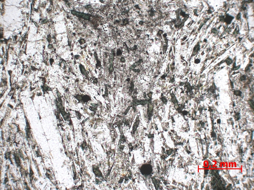  Microscope Phonolite Phonolite du Petit Gerbier Massif central Velay Borée Petit Gerbier ou le Gouleyou