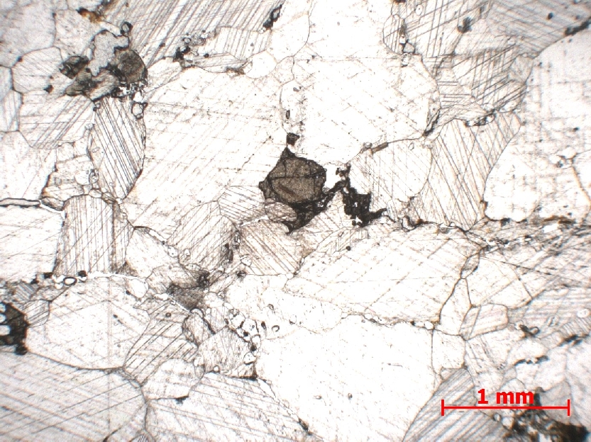 Microscope Carbonatite Carbonatite du Kaiserstuhl Kaiserstuhl Kaiserstuhl  