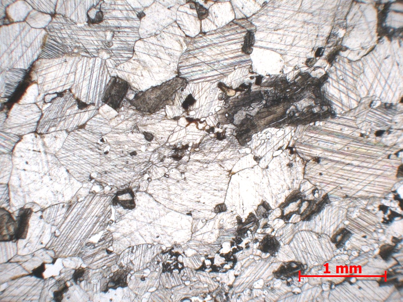 Carbonatite Carbonatite du Kaiserstuhl Kaiserstuhl Kaiserstuhl  