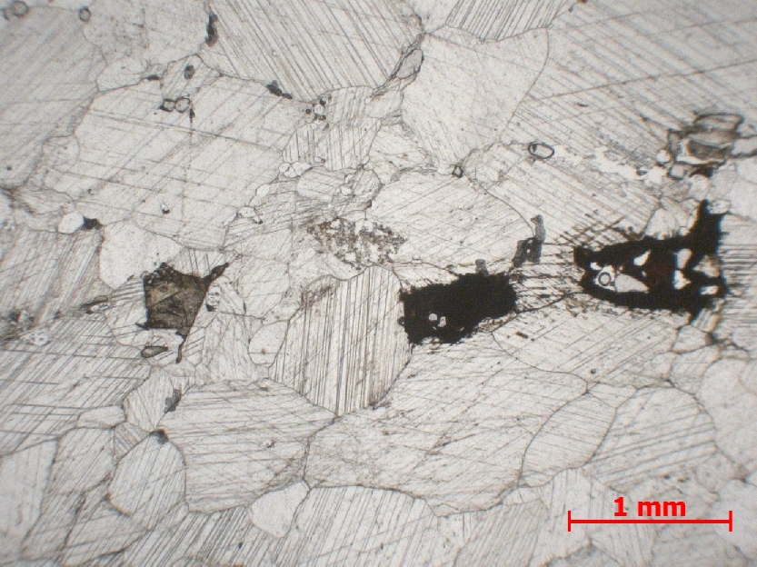  Microscope Carbonatite Carbonatite du Kaiserstuhl  Kaiserstuhl  
