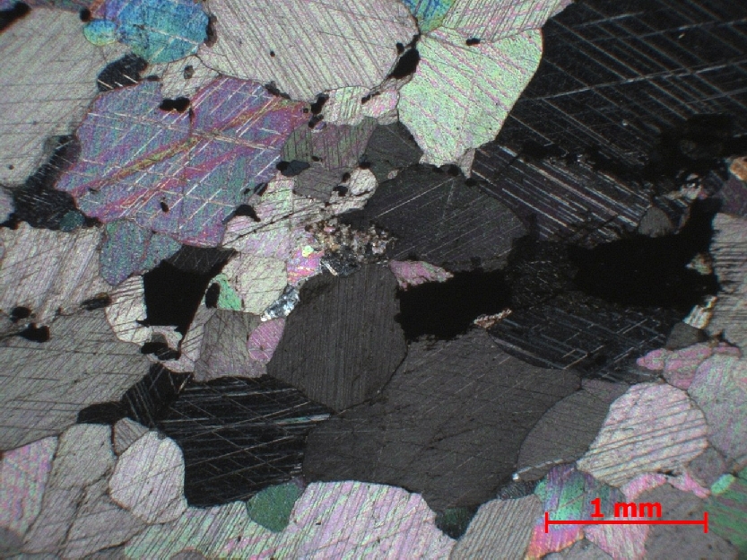  Microscope Carbonatite Carbonatite du Kaiserstuhl  Kaiserstuhl  