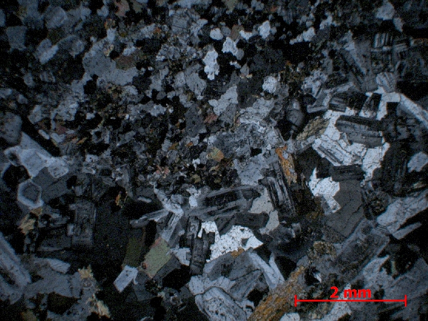  Microscope Granodiorite Granodiorite de Traversella Alpes  Traversella 