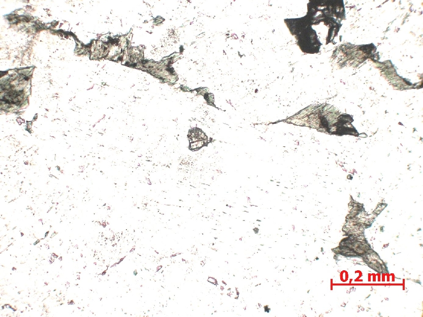 Microscope Plagiogranite Albitite Alpes Massif du Chenaillet Montgenèvre Proximité du lac des Serailles