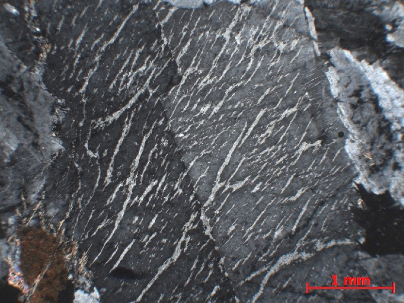  Microscope Granite porphyroïde Granite de Huelgoat Massif armoricain  Huelgoat 