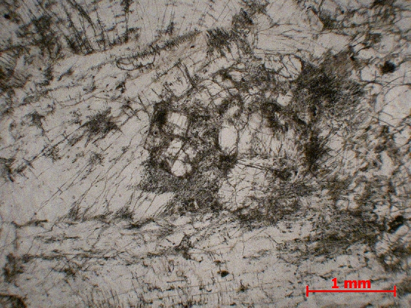  Microscope Syénite néphélinique Syénite néphélinique    