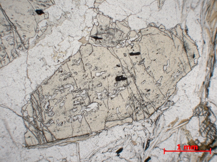  Microscope Micaschiste à staurotide Micaschiste à staurotide Provence Massif des Maures Rayol Canadel sur Mer Col du Canadel