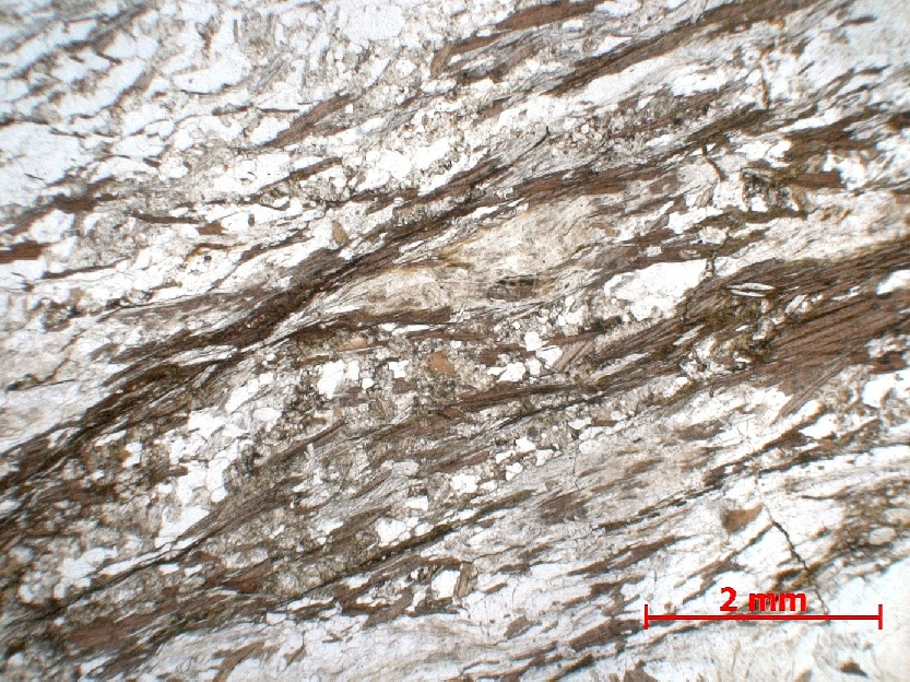  Microscope Gneiss à biotite et sillimanite Gneiss à fibrolites Massif central Haut Allier  