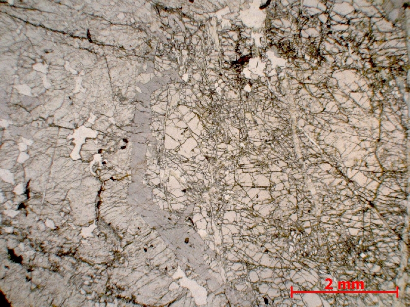 Microscope Éclogite Métabasite à grenat et omphacite Alpes   