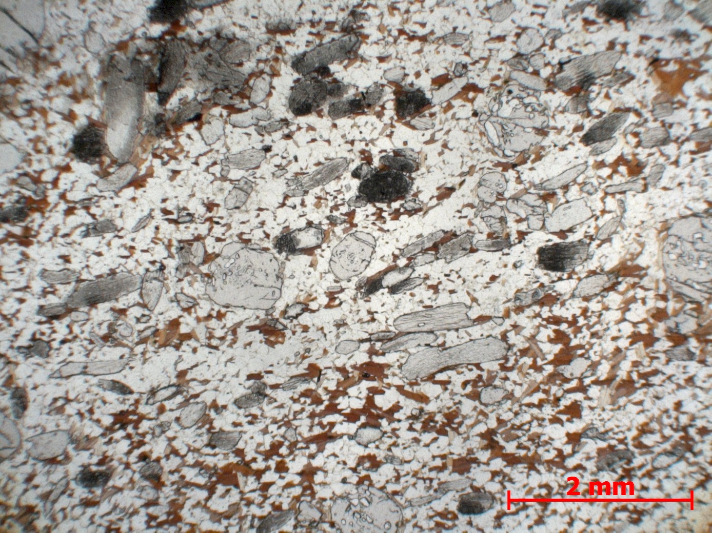 Gneiss à grenat et disthène Paragneiss granulitique Massif central Haut Allier Agnat Champaix
