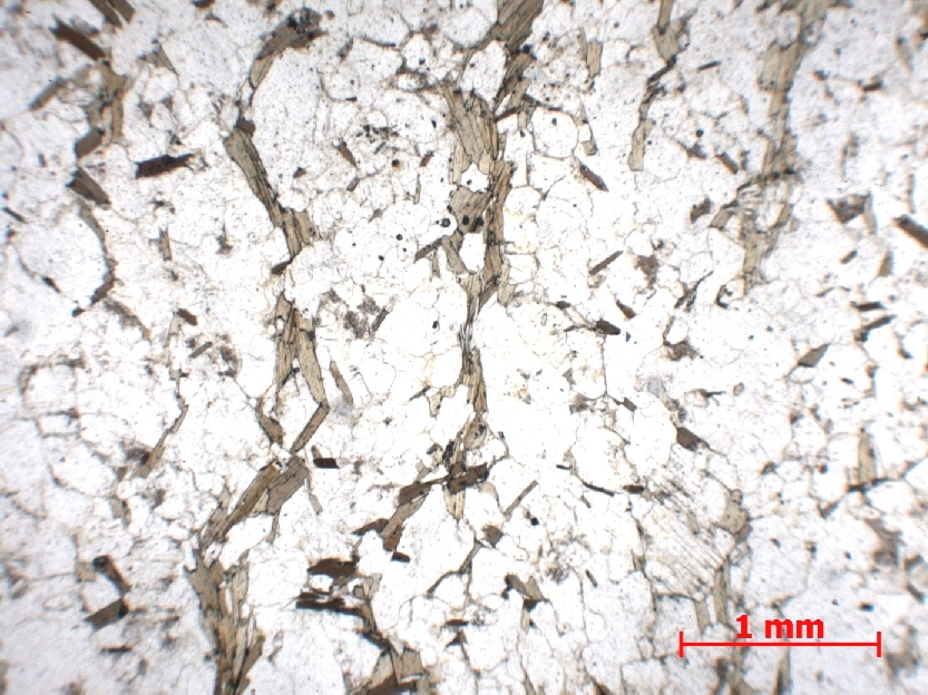  Microscope Migmatite Migmatite    