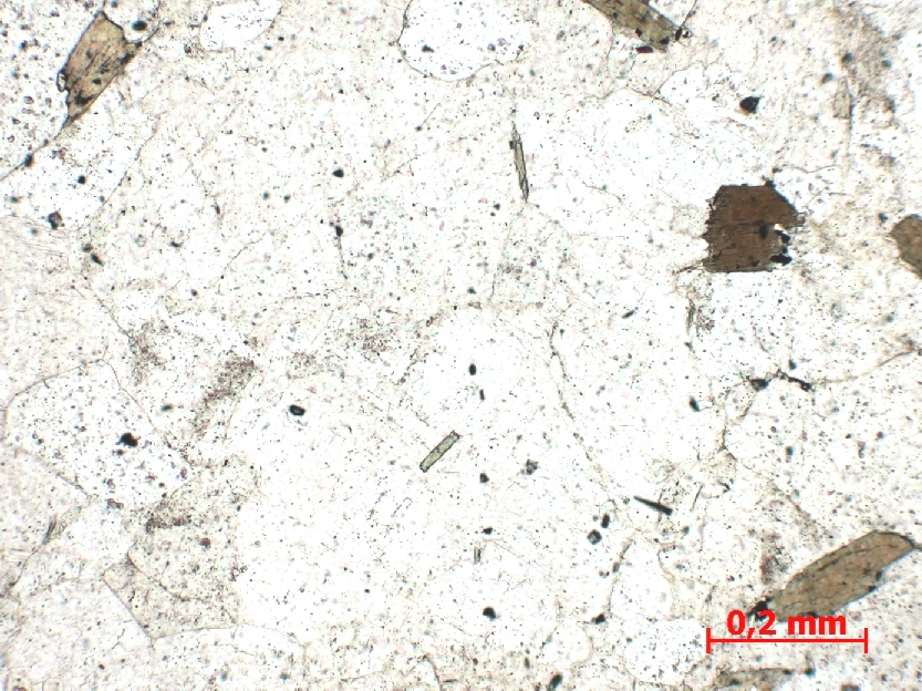  Microscope Migmatite Migmatite    