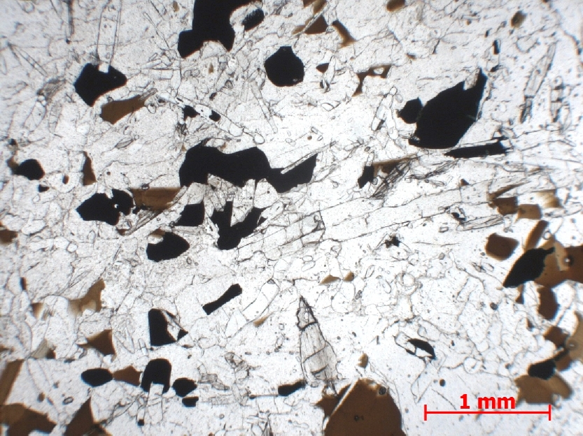  Microscope Gneiss à cordiérite Gneiss migmatitique rubané   Ihosy 