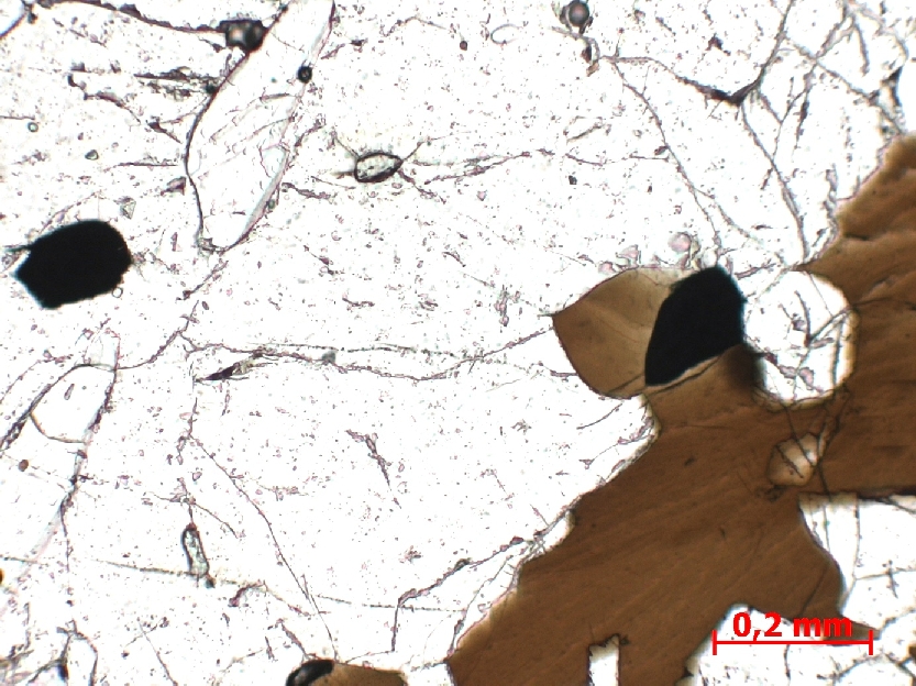  Microscope Gneiss à cordiérite Gneiss migmatitique rubané   Ihosy Carrière de Ihosy