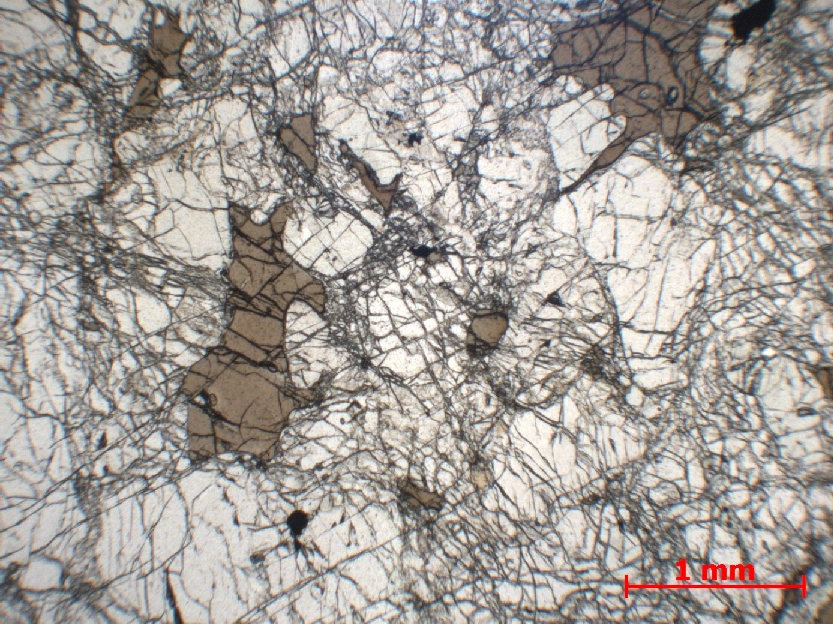  Microscope Lherzolite Lherzolite de Lers Pyrénées  Le Port Etang de Lers