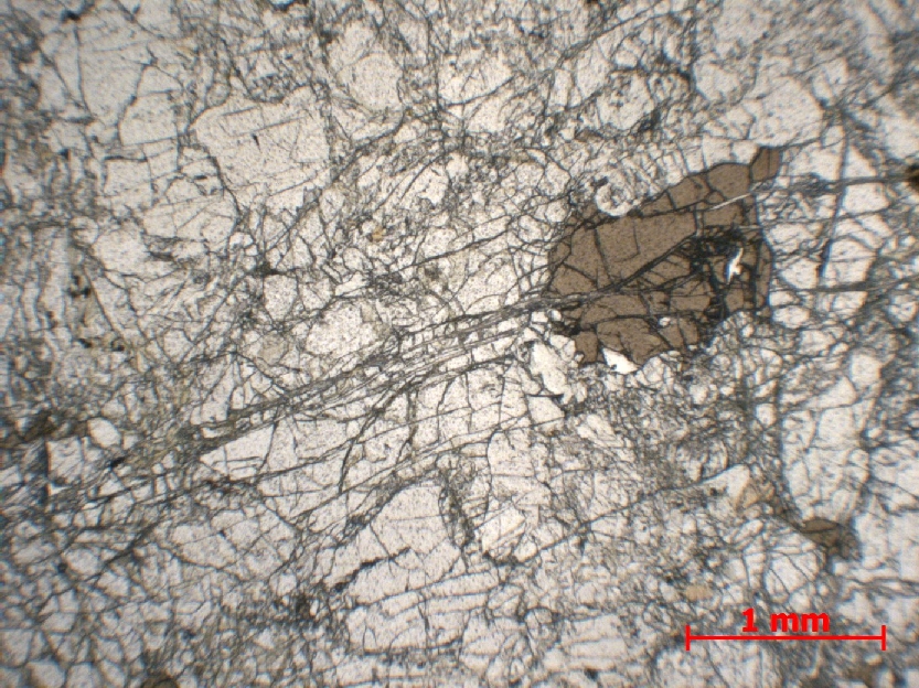  Microscope Lherzolite Lherzolite de Lers Pyrénées  Le Port Etang de Lers