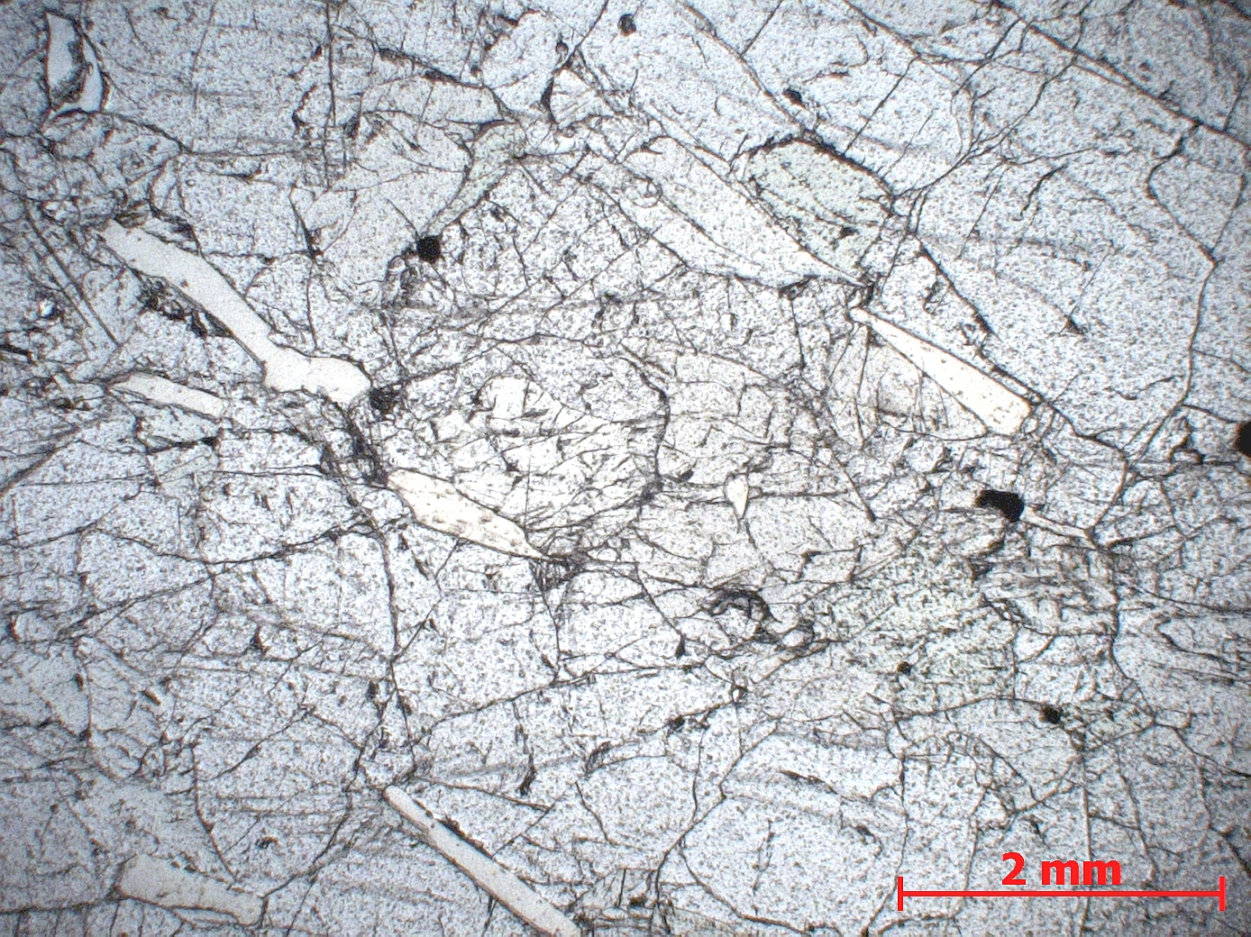 Lherzolite à phlogopite Péridotite de Finero Alpes Massif péridotitique de Finero  