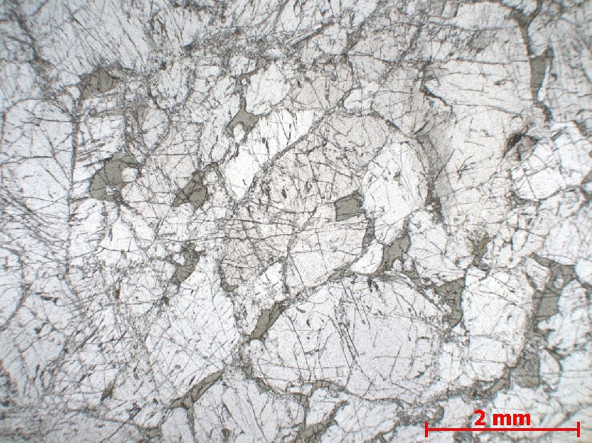  Microscope Pyroxénite à spinelle Pyroxénite de Lers Pyrénées  Le Port Proximité de l’étang de Lers