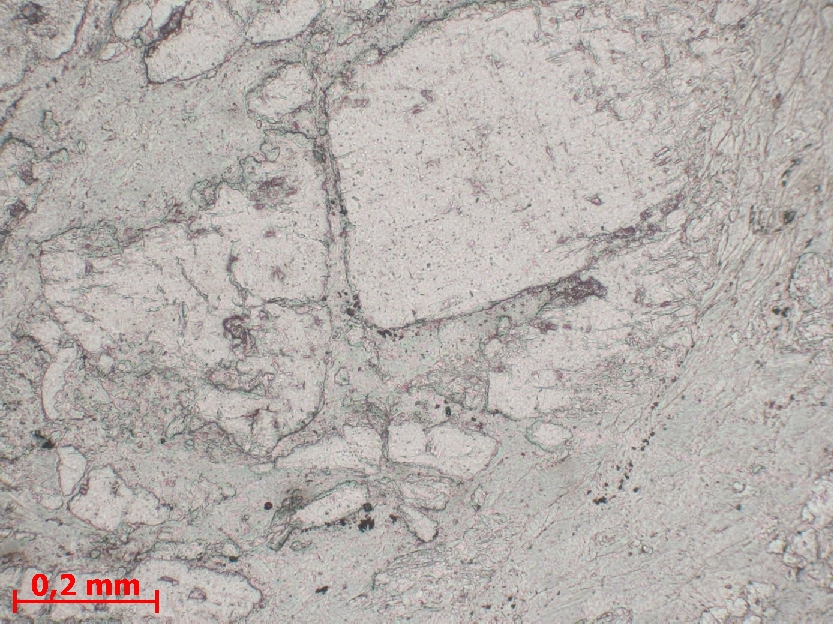  Microscope Brèche à chlorite, talc et serpentine Brèche de faille hydrothermalisée Pyrénées  Saint Arnac 